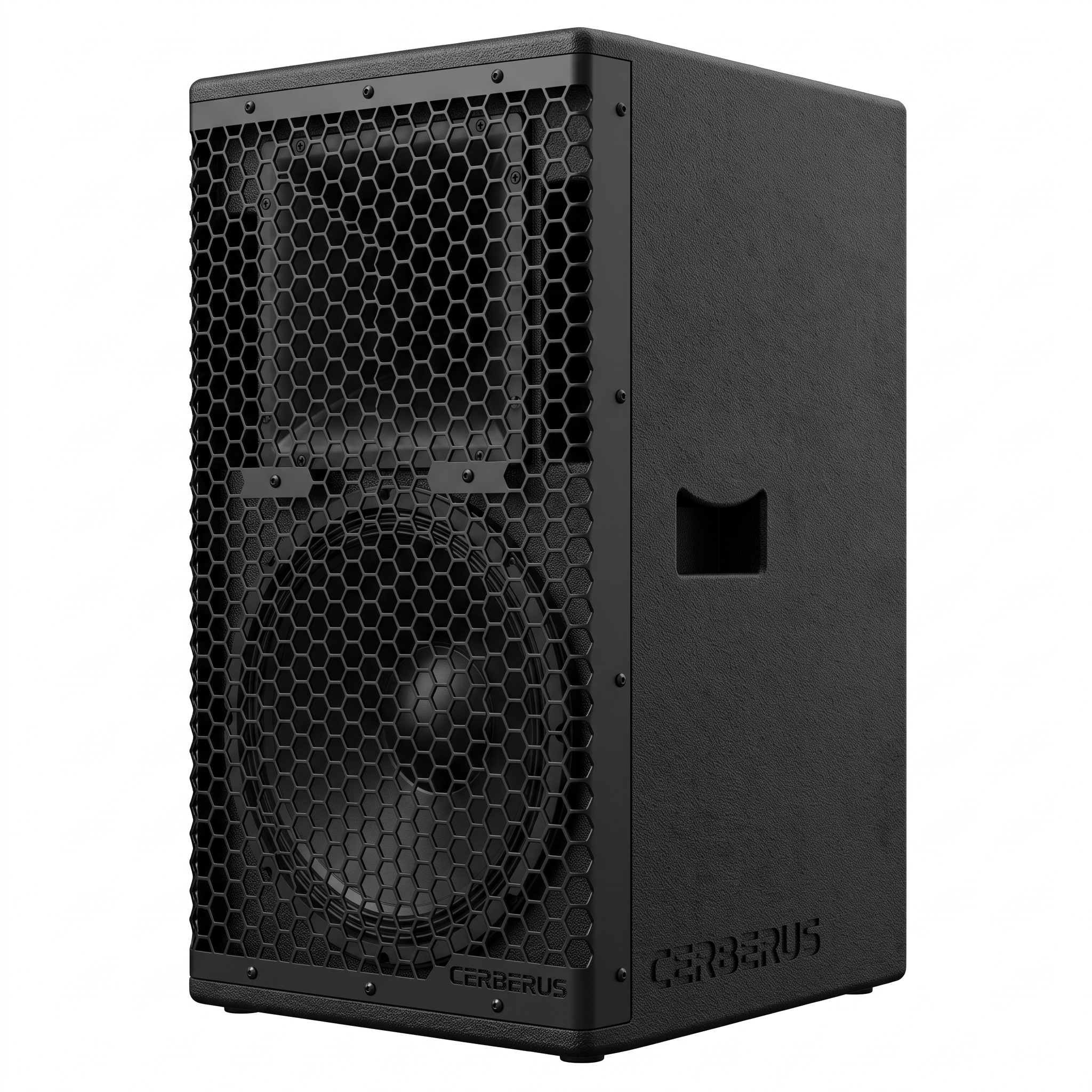 Render tecnico RX12T